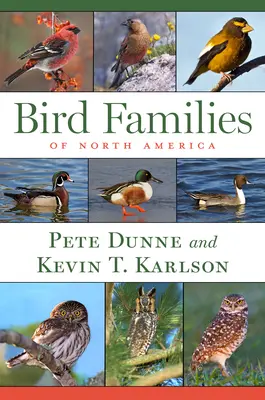 Familias de aves de Norteamérica - Bird Families of North America