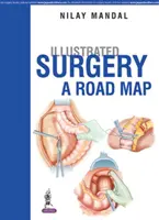 Cirugía Ilustrada - Una Hoja de Ruta - Illustrated Surgery - A Road Map