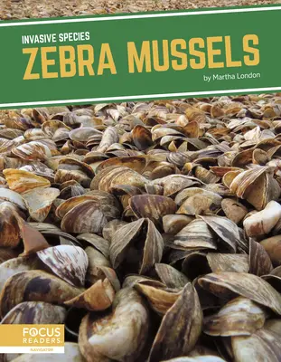 Mejillones cebra - Zebra Mussels