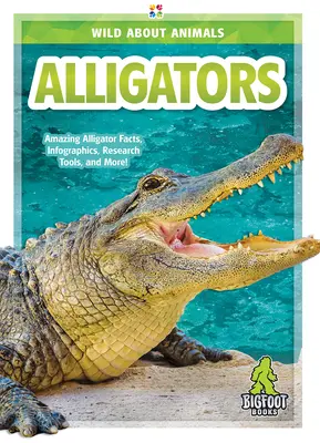 Caimanes - Alligators