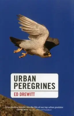 Halcones urbanos - Urban Peregrines