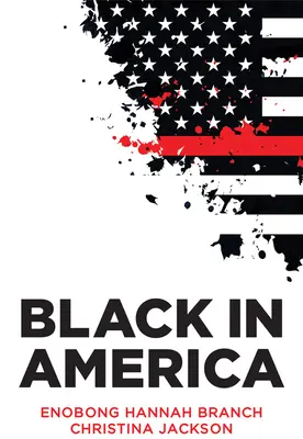 Black in America: La paradoja de la línea de color - Black in America: The Paradox of the Color Line