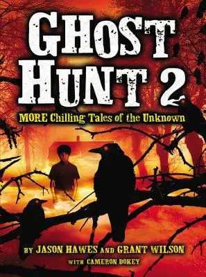 Caza del fantasma 2: Más historias escalofriantes de lo desconocido - Ghost Hunt 2: More Chilling Tales of the Unknown