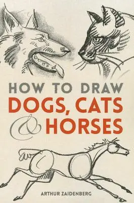 Cómo dibujar perros, gatos y caballos - How to Draw Dogs, Cats and Horses