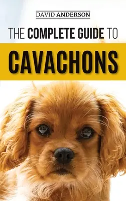 La guía completa de los Cavachons: Cómo elegir, adiestrar, enseñar, alimentar y querer a su perro Cavachon - The Complete Guide to Cavachons: Choosing, Training, Teaching, Feeding, and Loving Your Cavachon Dog