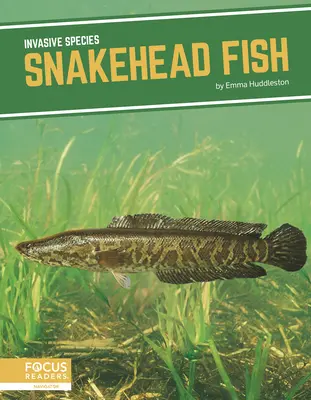 Pez cabeza de serpiente - Snakehead Fish