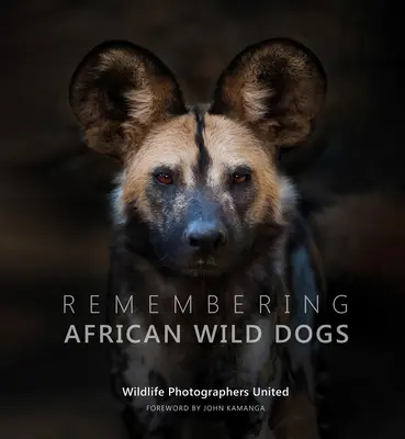 Recordando a los perros salvajes africanos - Remembering African Wild Dogs