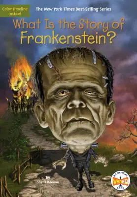 ¿Cuál es la historia de Frankenstein? - What Is the Story of Frankenstein?