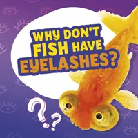 ¿Por qué los peces no tienen pestañas? - Why Don't Fish Have Eyelashes?