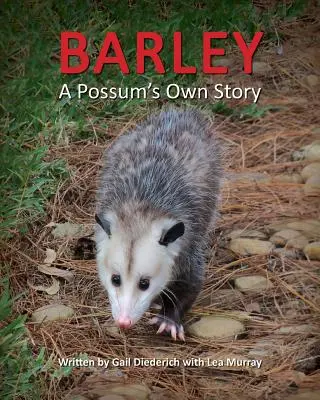 Barley, la historia de una zarigüeya - Barley, a Possum's Own Story