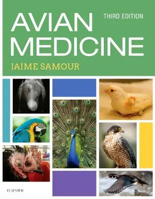 Medicina aviar - Avian Medicine