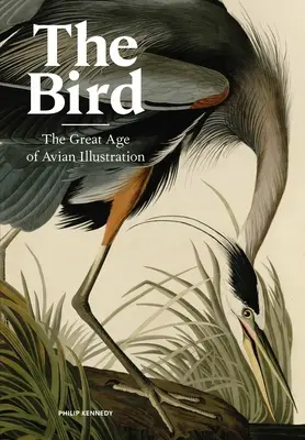 El pájaro: La gran época de la ilustración aviar - The Bird: The Great Age of Avian Illustration