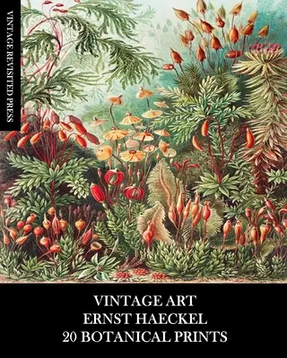 Arte Vintage: Ernst Haeckel: 20 Botanical Prints: Flora y Fauna Efímeras para enmarcar, collage y decoupage - Vintage Art: Ernst Haeckel: 20 Botanical Prints: Flora and Fauna Ephemera for Framing, Collage and Decoupage