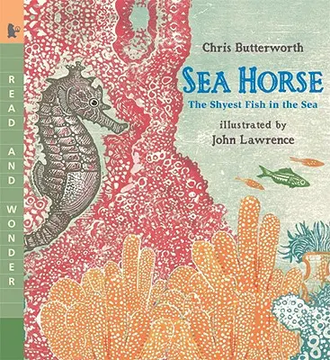 Caballito de mar: el pez más tímido del mar - Sea Horse: The Shyest Fish in the Sea