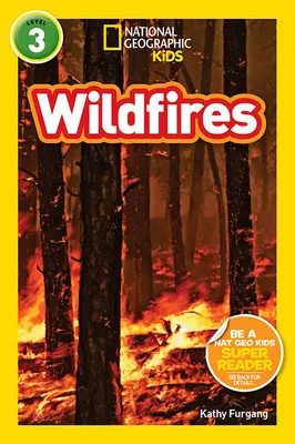 Incendios forestales - Wildfires