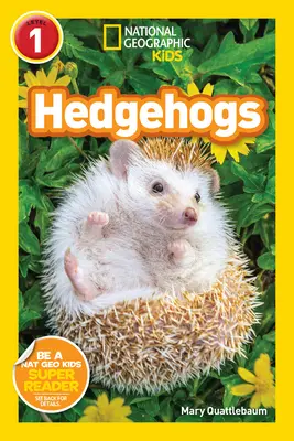 National Geographic Readers: Erizos (Nivel 1) - National Geographic Readers: Hedgehogs (Level 1)