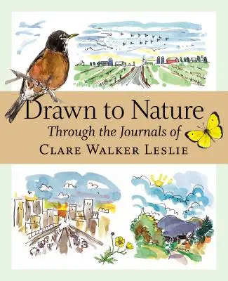 Atraídos por la naturaleza: A través de los diarios de Clare Walker Leslie - Drawn to Nature: Through the Journals of Clare Walker Leslie