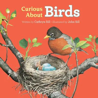 Curiosidad por las aves - Curious about Birds