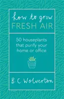 Cómo cultivar aire puro - 50 plantas de interior para purificar tu casa u oficina - How To Grow Fresh Air - 50 Houseplants To Purify Your Home Or Office