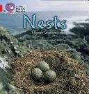 Nidos - Nests