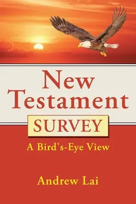 Estudio del Nuevo Testamento: A vista de pájaro - New Testament Survey: A Bird's-Eye View