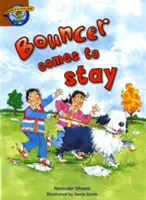 Storyworlds Bouncer llega para quedarse - Storyworlds Bouncer Comes to Stay