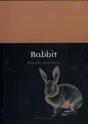 Conejo - Rabbit