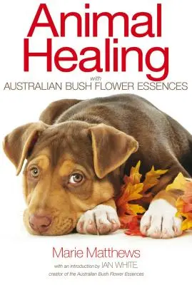 Curación animal con esencias florales de la sabana australiana - Animal Healing with Australian Bush Flower Essences