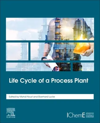 Ciclo de vida de una planta de procesamiento - Life Cycle of a Process Plant