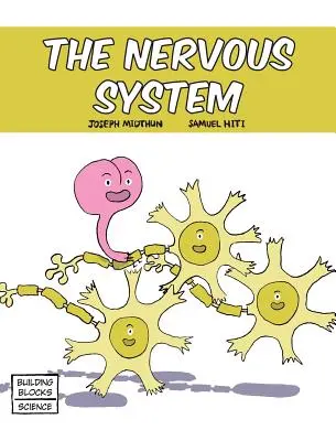 El sistema nervioso - The Nervous System