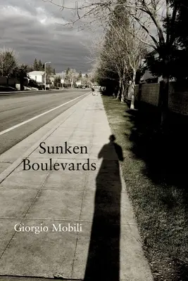 Bulevares hundidos - Sunken Boulevards