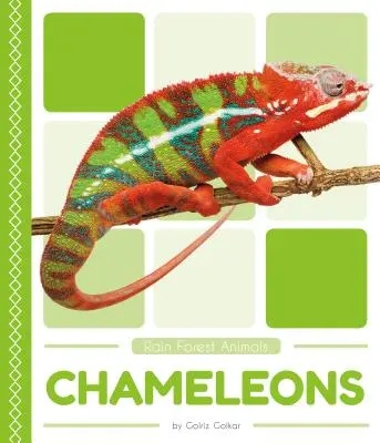 Camaleones - Chameleons