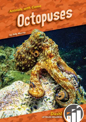 Pulpos - Octopuses