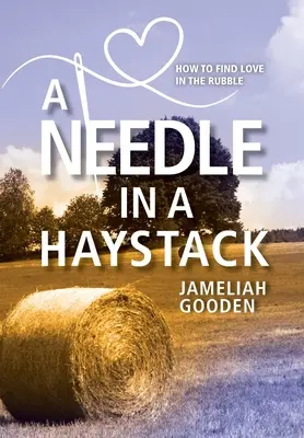 Una aguja en un pajar: Cómo encontrar el amor entre los escombros - A Needle in a Haystack: How to Find Love in the Rubble