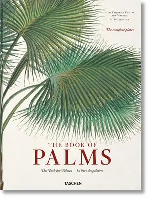 Martius. el Libro de las Palmeras - Martius. the Book of Palms