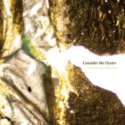 Considere la ostra - Consider the Oyster