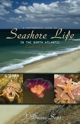 A Photographic Guide to Seashore Life in the North Atlantic: Canadá a Cape Cod - A Photographic Guide to Seashore Life in the North Atlantic: Canada to Cape Cod