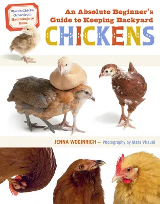 Guía para principiantes sobre la cría de pollos de traspatio: Ver crecer a los polluelos desde que salen del cascarón hasta que se convierten en gallinas - An Absolute Beginner's Guide to Keeping Backyard Chickens: Watch Chicks Grow from Hatchlings to Hens