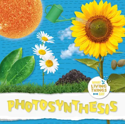 Fotosíntesis - Photosynthesis