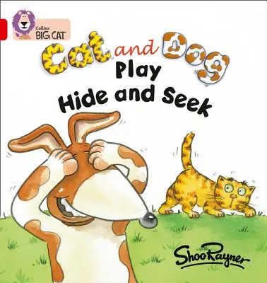 El gato y el perro juegan al escondite - Cat and Dog Play Hide and Seek