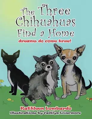 Los tres chihuahuas encuentran un hogar - The Three Chihuahuas Find a Home