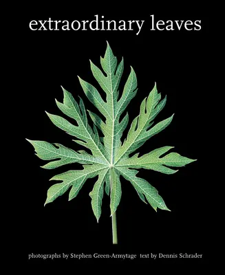 Hojas extraordinarias - Extraordinary Leaves