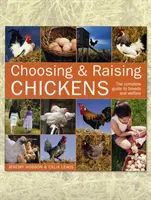 Elegir y criar pollos: Guía completa de razas y bienestar - Choosing and Raising Chickens: The Complete Guide to Breeds and Welfare