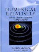 Relatividad numérica: Resolución de las ecuaciones de Einstein en el ordenador - Numerical Relativity: Solving Einstein's Equations on the Computer