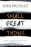 Pequeñas grandes cosas: la novela superventas que no querrás perderte - Small Great Things - The bestselling novel you won't want to miss