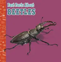 Datos básicos sobre los escarabajos - Fast Facts About Beetles