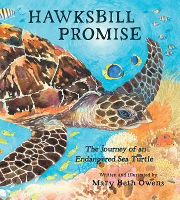 La promesa del carey: el viaje de una tortuga marina en peligro de extinción - Hawksbill Promise: The Journey of an Endangered Sea Turtle