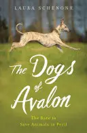 Los perros de Avalon: La carrera para salvar a los animales en peligro - The Dogs of Avalon: The Race to Save Animals in Peril
