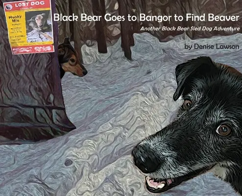 El oso negro va a Bangor en busca del castor - Black Bear Goes to Bangor to Find Beaver