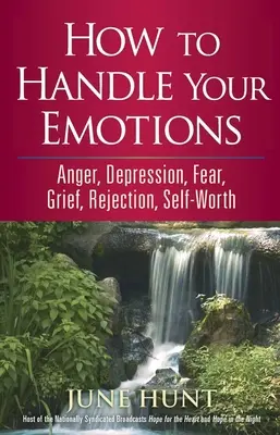 Cómo manejar sus emociones: Ira, Depresión, Miedo, Pena, Rechazo, Autoestima - How to Handle Your Emotions: Anger, Depression, Fear, Grief, Rejection, Self-Worth